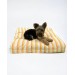 Sunny Stripe 011 Kedi Köpek Minderi Yatağı