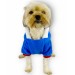Sweet Blue Rabbit Kapşonlu Sweatshirt Köpek Kıyafeti Köpek Elbisesi