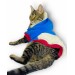 Sweet Blue Rabbit Sweatshirt Kapşonlu Kedi Kıyafeti Kedi Sweatshirt