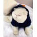 Teddy Roo Kapşonlu Kedi Sweatshirt Kedi Kıyafeti Kedi Elbisesi Kedi Giyim