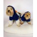 Teddy Roo Kapşonlu Köpek Sweatshirt Köpek Elbisesi Köpek Kıyafeti