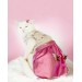 Yassi Glitz Kedi Elbisesi, Kedi Kıyafeti , Kedi Kostümü