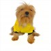 Yellow Lux Kapşonlu Sweatshirt Köpek Kıyafeti Köpek Elbisesi