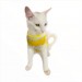Yellow White Atlet  By Kemique  Kedi Kıyafeti Kedi Elbise