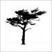 Ağaç Ve Gül Resi̇mleri̇ Folyo Sti̇cker