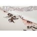 Finezza Gardenya Baskılı Kumaş Kreme Çiçekli Kırlent Kılıfı 45X45  İkili - 1432