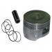Cup Piston Set 50,50Mm Cup-100