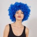 Parti Aksesuar Mavi Renk Kıvırcık Afro Bonus Peruk