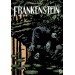Frankenstein (Cilt 2)
