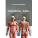İnsan Anatomisi Ve Fizyolojisi