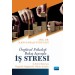 Örgütsel Psikoloji Bakış Açısıyla İş Stresi̇: İş Stresi Bataryası - Örgütsel Ölçüm Araçları