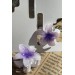 2'Li  Lotus Çiçek Figürlü Mandal Toka Mor Sbt1637