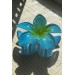 Lotus Büyük Mandak Toka Mavi Sbt1630