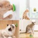 Shopzum Avokado Model Shopzum Yapışkanlı Kedi Oyuncağı Yenilebilir Kedi Nanesi Otu