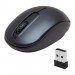 Hl-2726 2.4 Ghz Kablosu Shopzumz Mouse