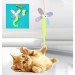 Kelebek Model Elastik Kendinden Shopzum Yapışkanlı Kedi Oyun Oltası
