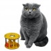 Shopzum Ahşap Kafes Renkli Toplu Kedi Patisi Desenli Sesli Kedi Oyuncağı