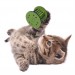 Shopzum  Mini Silindir Eğlenceli Renkli Sağlam Küçük Pati İzi Şekilli Kedi Oyuncağı