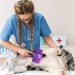Shopzum  Otomatik Temizlenebilen Tuşlushopzum  Pratik Kedi Köpek Tüy Toplama Fırçası