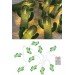 Shopzum Pilli Yeşil Kaktüs Led Işık Zinciri Dekoratif Süs Aydınlatması