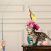 Shopzum Teleskopik Tüylü Ve Çanlı Boyu Ayarlanabilir Elastik Eğlenceli Peluş Kedi Oyun Oltası