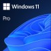 Ms Windows 11 Pro Tr Kutu Hav-00159
