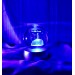 3D Küçük Prens Işıklı Cam Küre