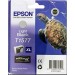 Ink Cartridge Light Black. With Pigment İnk Epson C13T15774010