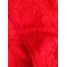 Kırmızı Mor Renk Seçenekli Arkası Tül Önü Dantelli Nefes Alabilen Kadın Bikini Külot
