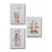 3’Lü Tablo Sevimli Üç Hayvan Koleksiyonu Dekoratif Duvar Kanvas Tablo Seti Beyaz 35 X 50