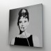 Audrey Hepburn'ün Siyah Bayaz Kanvas Tablosu Karışık 50 X 50