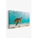 Deniz Kaplunbağası Dekoratif Kanvas Duvar Tablosu Karışık 125 X 70