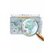 Eğitici Dünya Haritası Dünya Atlası Çocuk Ve Bebek Odası Duvar Sticker Karışık Tek Ebat