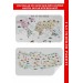 Eğitici - Öğretici Dünya Ve Türkiye Haritası Çocuk Odası Duvar Sticker I 3884 Karışık 