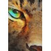 Gerçekçi Çita Gözleri Yağlıboya Görünüm Kanvas Duvar Tablosu Karışık 125 X 70