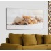 Golden Köpek İle Uyuyan Yavru Kedi Dekoratif Kanvas Tablo 1176 Karışık 125 X 70