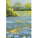 Mavi Gelincik Tarlası Yağlıboya Görünüm Dekoratif Kanvas Duvar Tablosu Karışık 125 X 70