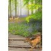Ormandaki Hayvanlar Dekoratif Kanvas Duvar Tablosu Karışık 150 X 85