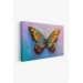 Renkli Kelebek Yağlıboya Görünüm Dekoratif Kanvas Duvar Tablosu Karışık 125 X 70