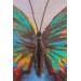 Renkli Kelebek Yağlıboya Görünüm Dekoratif Kanvas Duvar Tablosu Karışık 150 X 85