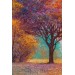 Sonbahar Manzarası Yağlıboya Görünüm Dekoratif Kanvas Duvar Tablosu Karışık 35 X 50