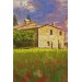 Toskana İtalyadaki Kırmızı Gelincik Tarlası Yağlıboya Görünüm  Kanvas Tablosu Karışık 125 X 70