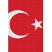 Türk Bayrağı Dekoratif Kanvas Duvar Tablosu Karışık 35 X 50
