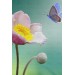 Zarif Çiçek Ve Kelebek Dekoratif Kanvas Duvar Tablosu Karışık 125 X 70