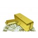Para Tabancası Gold