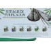 White Sage Cleansing Collection Hexa Gift Pack