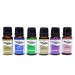 Zen Assorted Fragrance Oil 24'Lü Set