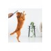 Evcil Hayvan Kıtık Açıcı Metal Kedi Köpek Tarağı