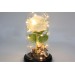 Fanus Çiçek 19/10Cm Cam Fanus Hediyelik Led Işıklı