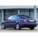 Volkswagen Passat Uyumlu 3B Krom Cam Çıtası 4 Parça 1998-2005